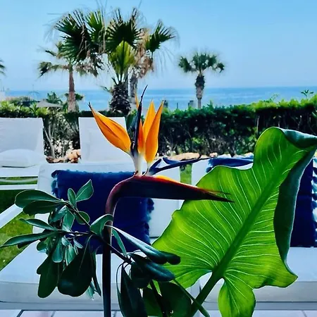 Flat With Garden On The First Line Of The Sea In Puerto Banus *