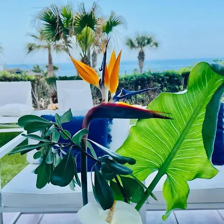 Apartment Flat With Garden On The First Line Of The Sea In Puerto Banus *